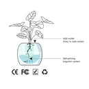 Interactieve Slimme Ivy Bloempot
